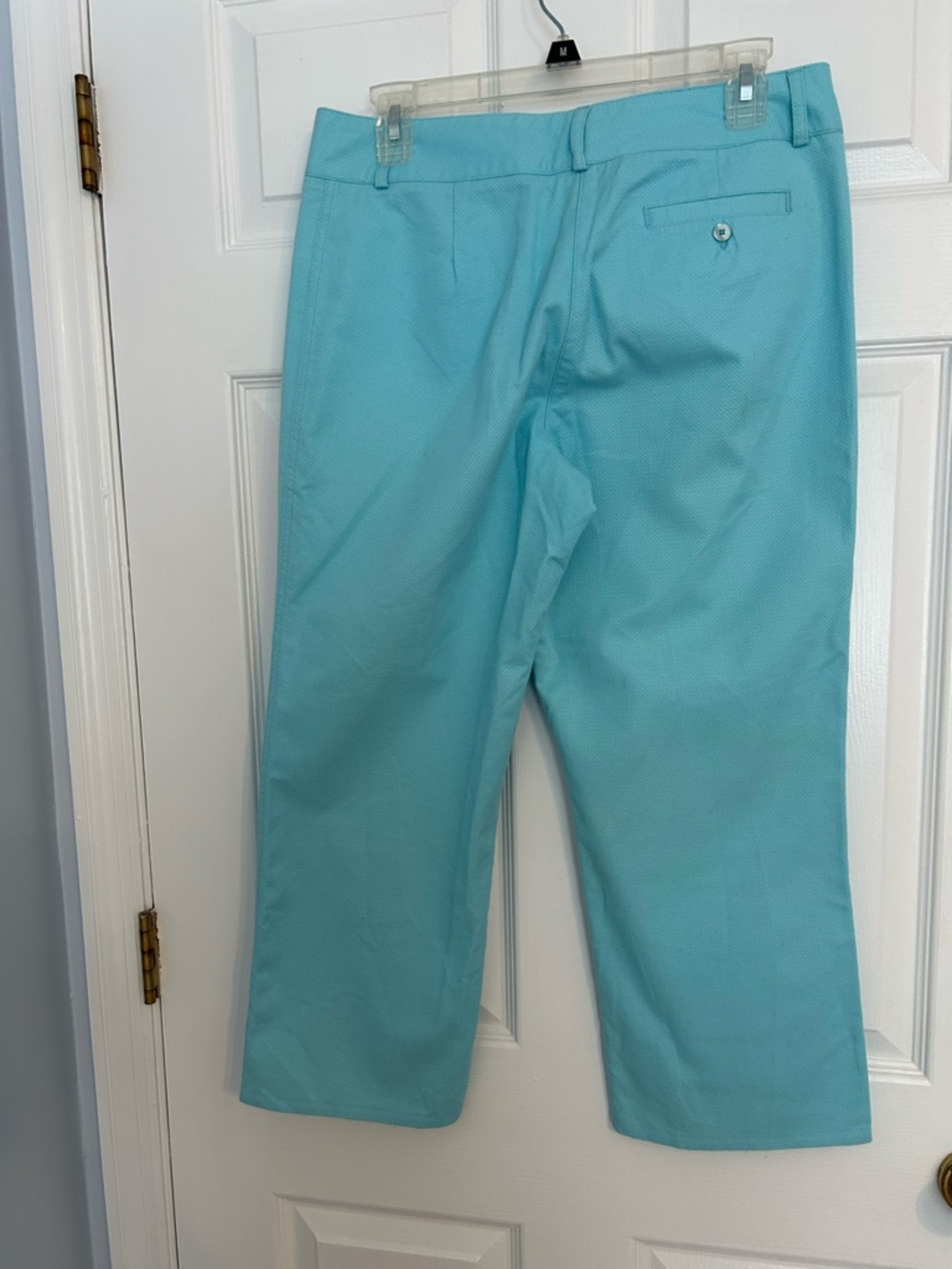 Lily Pulitzer Aqua Cropped Pants - Picture 3 of 5